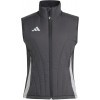 Chaqueta Chndal adidas Tiro 24 Competition Winterized Women IM9971