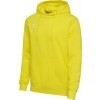 Sudadera hummel HmlGo 2.0 Hoodie 224833-5269