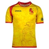 Camiseta de Rugby JOMA 2ª Equipación España 101012.17