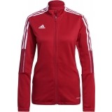 Chaqueta Chndal de Rugby ADIDAS Tiro 21 Training Jacket GM7305