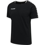 Camiseta Entrenamiento de Rugby HUMMEL HmlAutenthic Training Tee 205379-2114