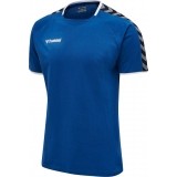 Camiseta Entrenamiento de Rugby HUMMEL HmlAutenthic Training Tee 205379-7045