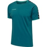 Camiseta Entrenamiento de Rugby HUMMEL HmlAutenthic Training Tee 205379-8745
