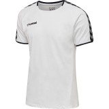Camiseta Entrenamiento de Rugby HUMMEL HmlAutenthic Training Tee 205379-9001