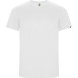 Camiseta Entrenamiento de Rugby ROLY Imola 0427-01